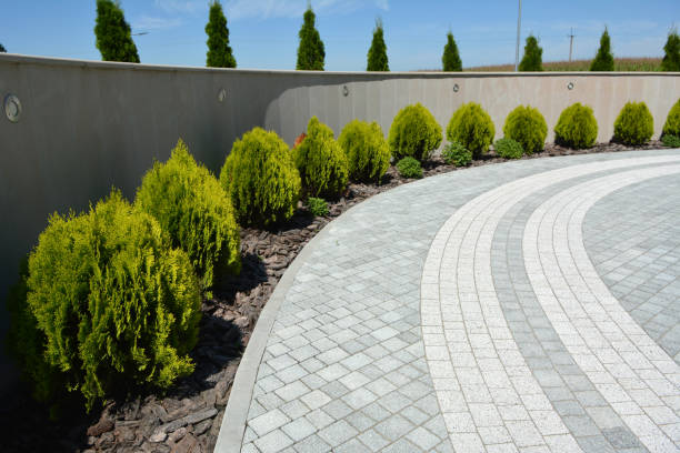 Best Commercial Driveway Paving in St Helena, CA